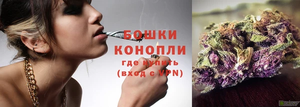 стаф Богданович