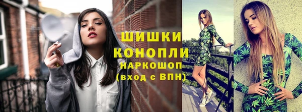 стаф Богданович